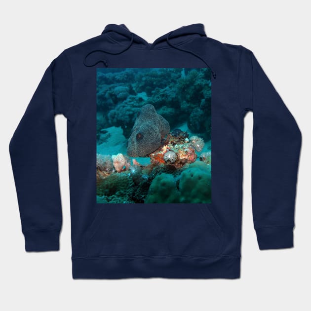 Red Sea Coral Reef Hoodie by likbatonboot